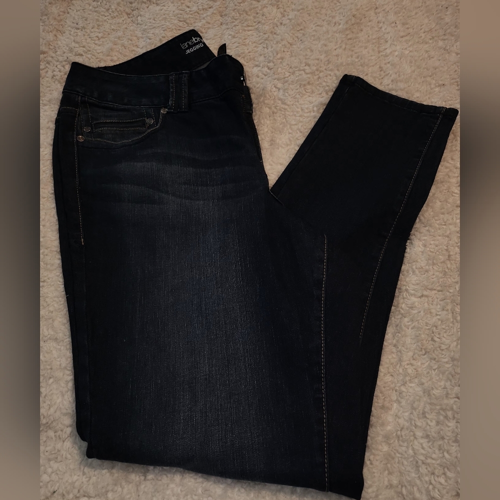 Layne Bryant Jeggings